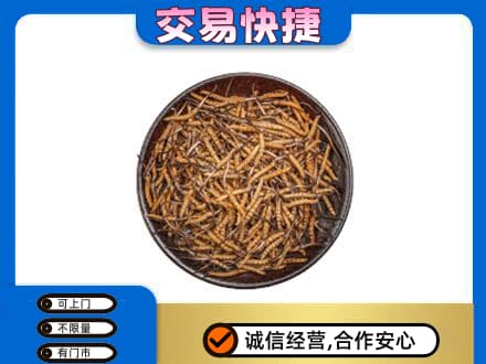 大理祥云县高价回收散虫草